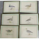 Set of six framed 'Duck' prints, (6)
