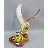 The Natural World by Caithness, 'The Dawn Hunter', modelled on an oak branch and plinth base, 52cm