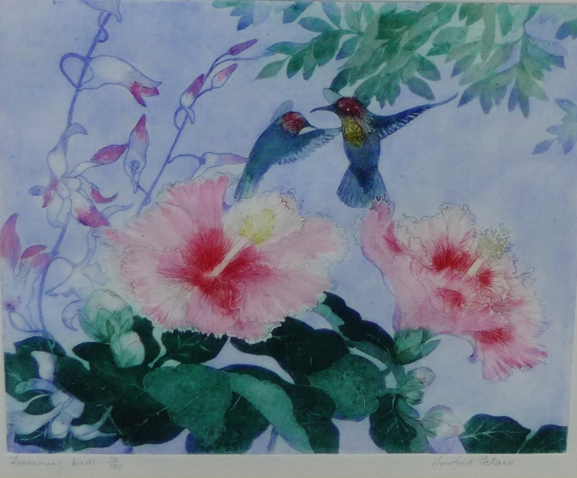 Winifred Pietard 'Humming Birds' Coloured etching, signed in pencil and numbered 10/150, in a glazed