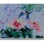Winifred Pietard 'Humming Birds' Coloured etching, signed in pencil and numbered 10/150, in a glazed