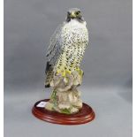 Border Fine Arts, Peregrine figure by Russell Willis on a wooden plinth base, 26cm high