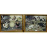 WH Trood, pair of coloured Dog prints, in glazed frames, 39 x 29cm, (2)