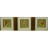 Set of three coloured Botanical prints in glazed giltwood frames, 16 x 16cm, (3)