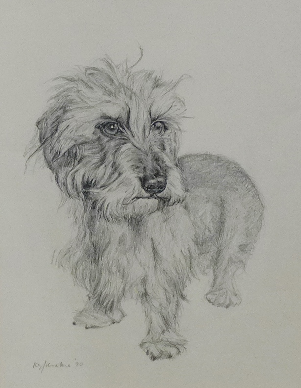 K. Johnstone 'Wire Haired Dachshund' Pencil Sketch, signed and dated '90, in a glazed frame, 25 x
