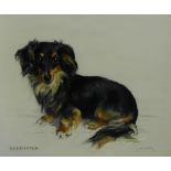 Mable Gear 'Beethoven - Black and Tan Long Haired Dachshund' Pastel Signed and entitled, 40 x 35cm