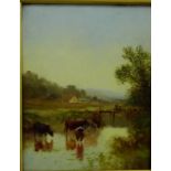 Late 19th / early 20th Century School 'Cattle by a Field' Oil-on-Board, apparently unsigned, in an