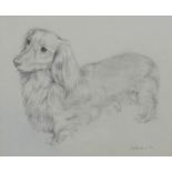 K. Johnstone 'Long Haired Dachshund' Pencil Sketch, signed and dated '95, 30 x 25cm