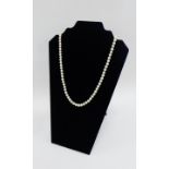 A strand of cultured pearls with 9 carat white gold and diamond set clasp fitting