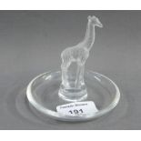 Lalique glass pin tray with opaque Giraffe, with an etched Lalique mark to base, 10cm diameter