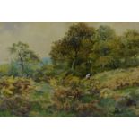 Sheddon Goodrich Williams Roscoe (1852 - 1922) 'Autumn Glory' Watercolour, signed bottom right in