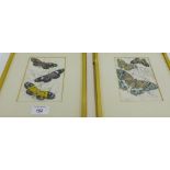 Pair of hand coloured Butterfly framed prints in gilt glazed frames, 10 x 15cm, (2)