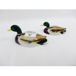 Two Beswick Peter Scott Mallard Ducks, with printed backstamps and impressed numbers, longest