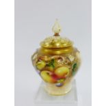 Royal Worcester fruit study pot pourri vase with pierced gilt cover painted with apples and