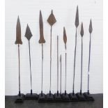 A collection of nine spears on hardwood stands, (9)