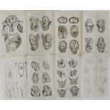 Set of eight copper engravings, The System of Midwifery by C. Cooke, circa 1795 (8)