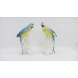 Pair of Karl Ens porcelain parrots with printed backstamps and impressed number 7607, 25.5cm