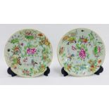 Pair of Chinese style celadon glazed plates painted with insects, butterflies and flowers, blue