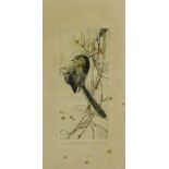 George Edward Collins 'Bird on a Branch' Etching Signed in pencil, on a glazed frame, 11 x 23cm