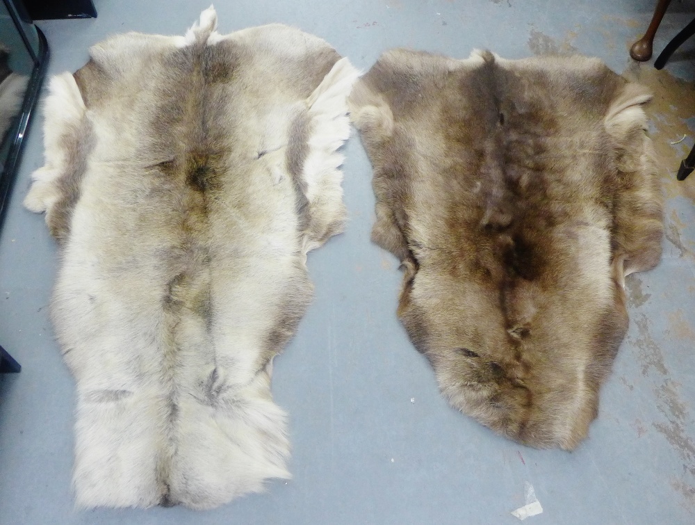 Two animal fur rugs, (2)