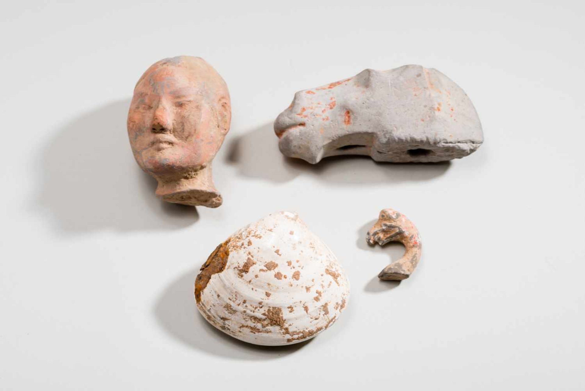 MIXED LOTTerracotta and shellChina, Han dynasty (206 BC-220 AD) and Tang dynasty (618-907)The head