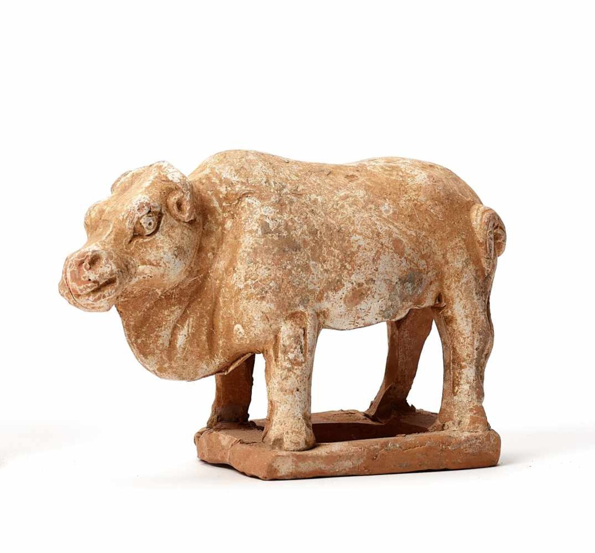 A STANDING TERRACOTTA BUFFALO, TANG DYNASTYThe meticulously modelled statue with remainders of old