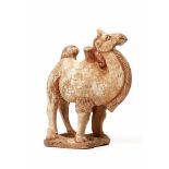 A STANDING TERRACOTTA CAMEL, TANG DYNASTYThe meticulously modelled statue with remainders of old