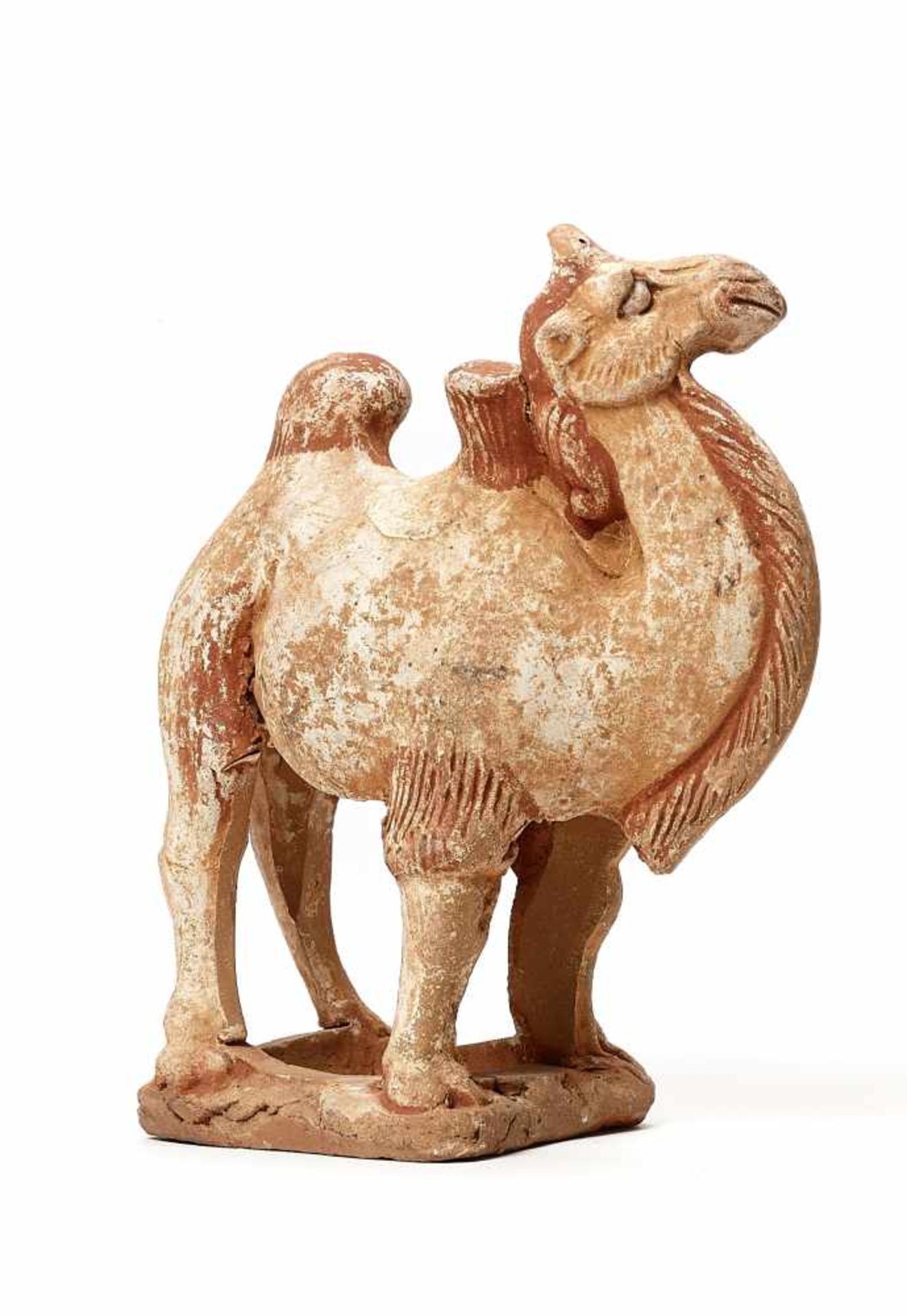 A STANDING TERRACOTTA CAMEL, TANG DYNASTYThe meticulously modelled statue with remainders of old