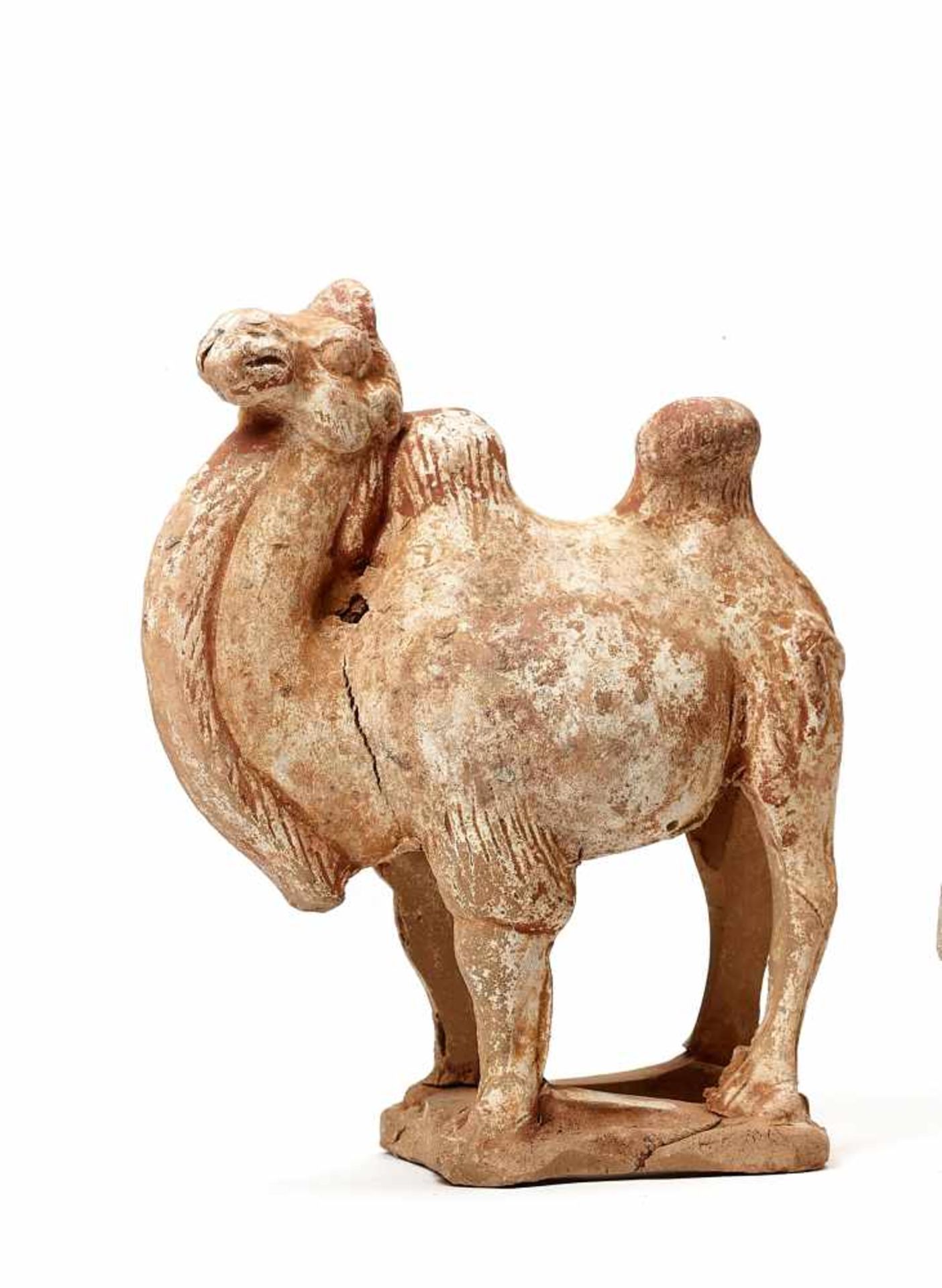 A STANDING TERRACOTTA CAMEL, TANG DYNASTYThe meticulously modelled statue with remainders of old - Image 2 of 3