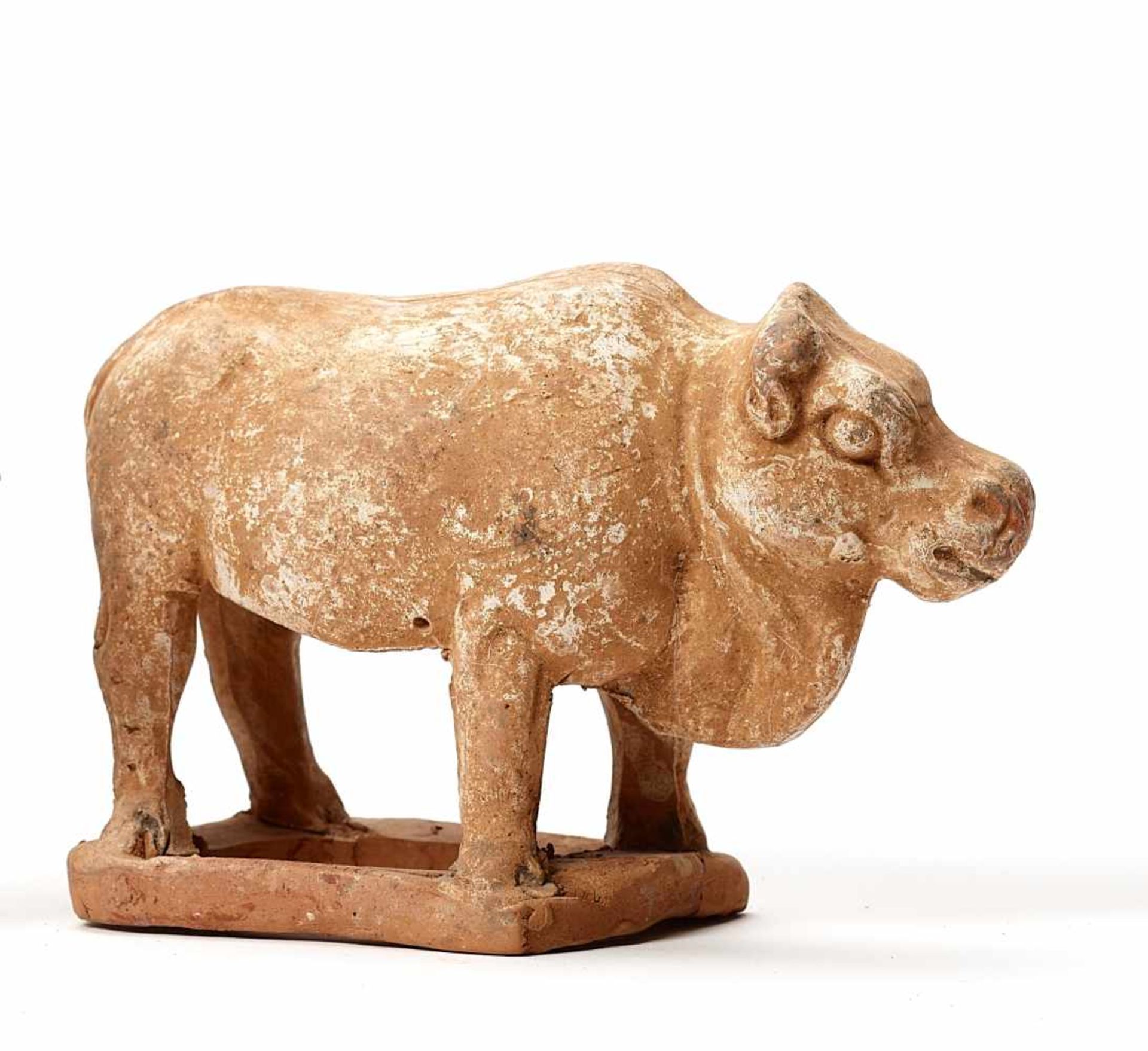 A STANDING TERRACOTTA BUFFALO, TANG DYNASTYThe meticulously modelled statue with remainders of old - Image 2 of 3