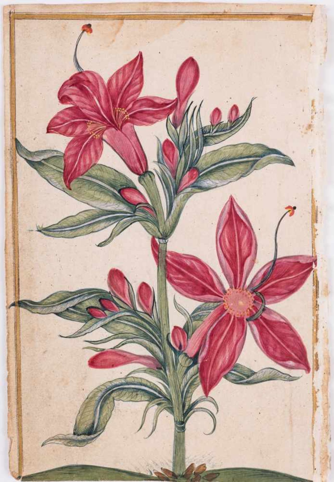 A GROUP OF ELEVEN FLOWER AND TREE MINIATURE PAINTINGS – INDIA 19th CENTURYWatercolors and gold paint - Bild 4 aus 12