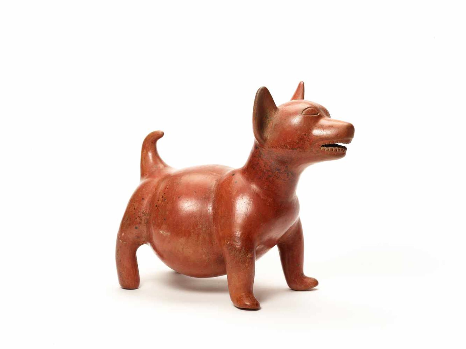 DOG FIGURE – COLIMA, MEXICO, C. 100 BC - 250 ADFired clayColima, Mexico, c. 100 BC - 250 - Bild 4 aus 4