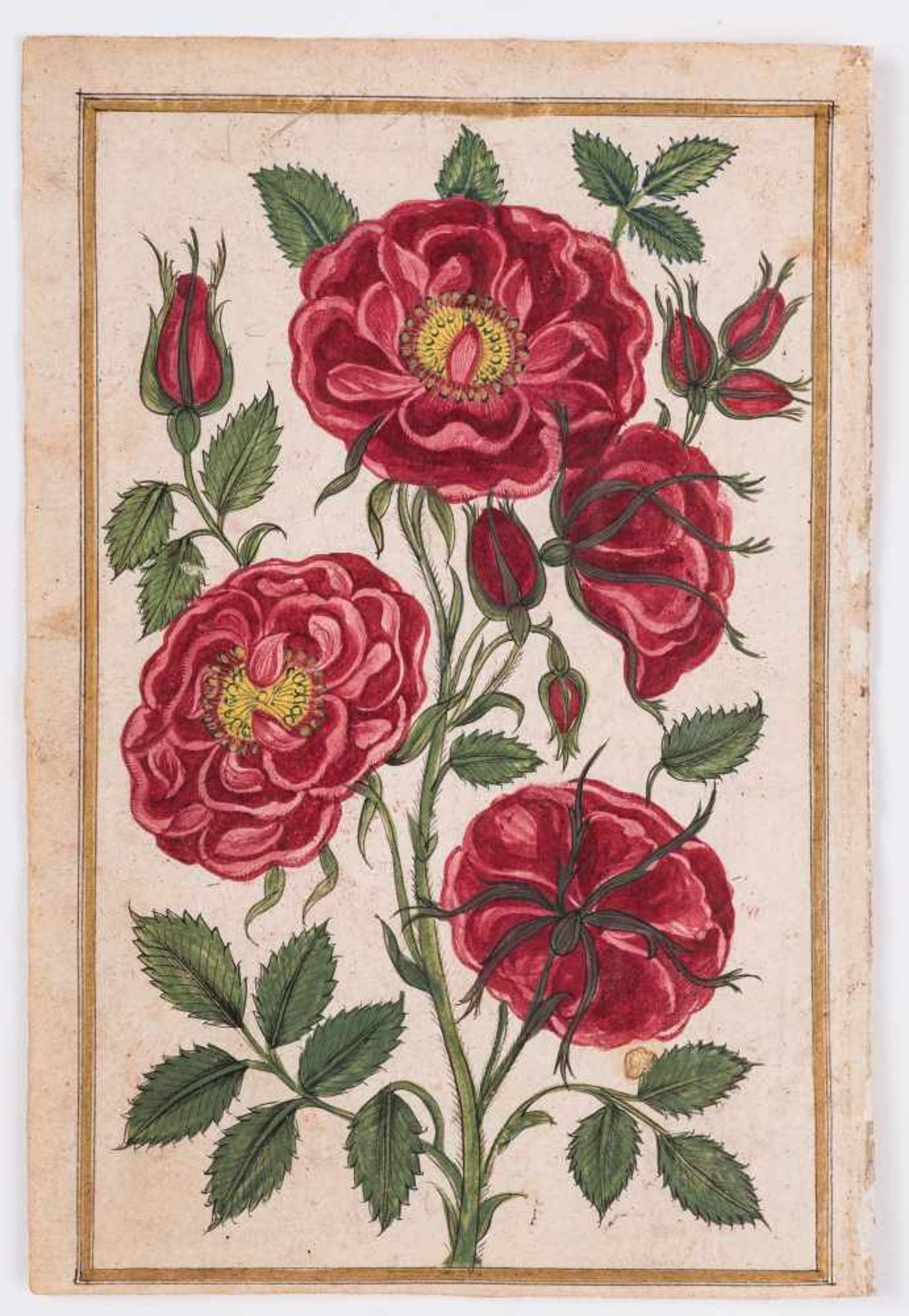 A GROUP OF ELEVEN FLOWER AND TREE MINIATURE PAINTINGS – INDIA 19th CENTURYWatercolors and gold paint - Bild 8 aus 12