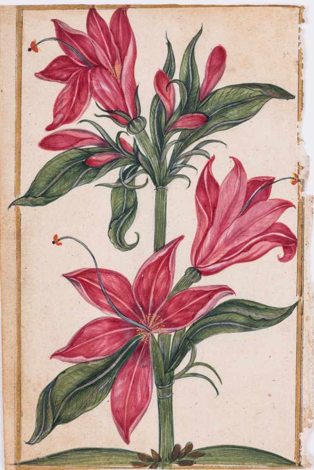 A GROUP OF ELEVEN FLOWER AND TREE MINIATURE PAINTINGS – INDIA 19th CENTURYWatercolors and gold paint - Bild 3 aus 12