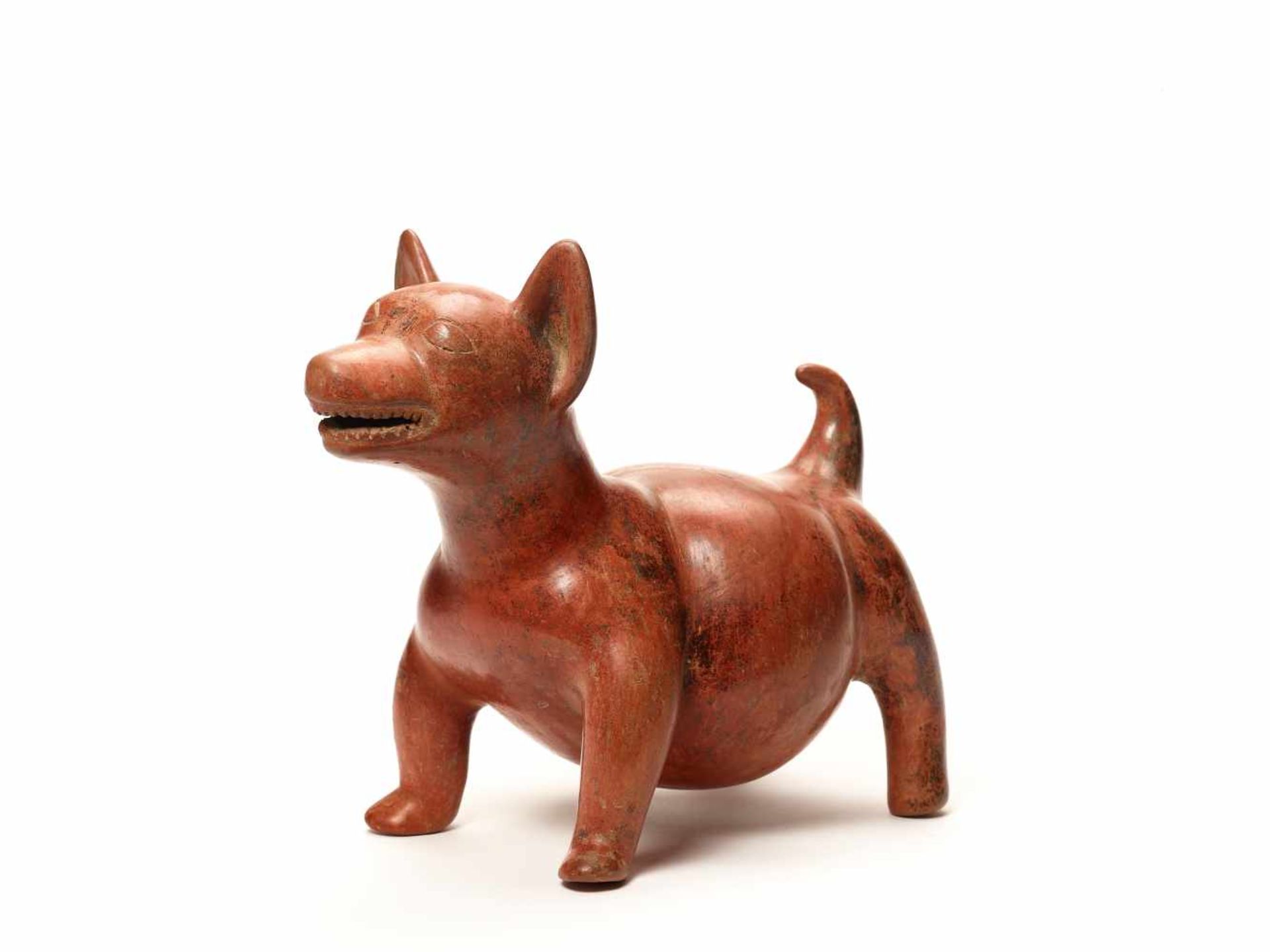 DOG FIGURE – COLIMA, MEXICO, C. 100 BC - 250 ADFired clayColima, Mexico, c. 100 BC - 250