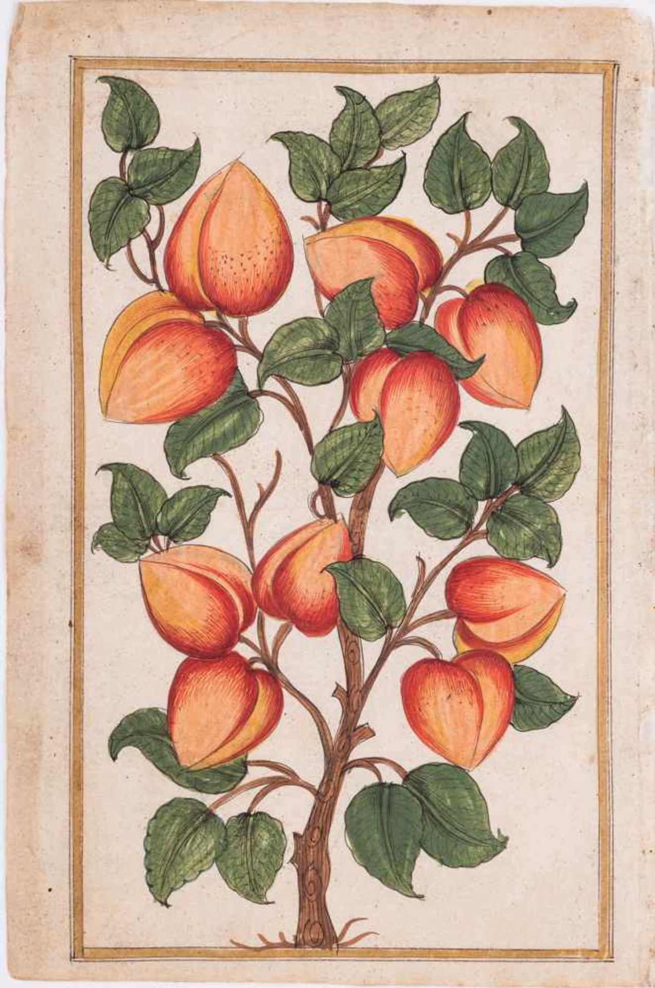 A GROUP OF ELEVEN FLOWER AND TREE MINIATURE PAINTINGS – INDIA 19th CENTURYWatercolors and gold paint - Bild 10 aus 12