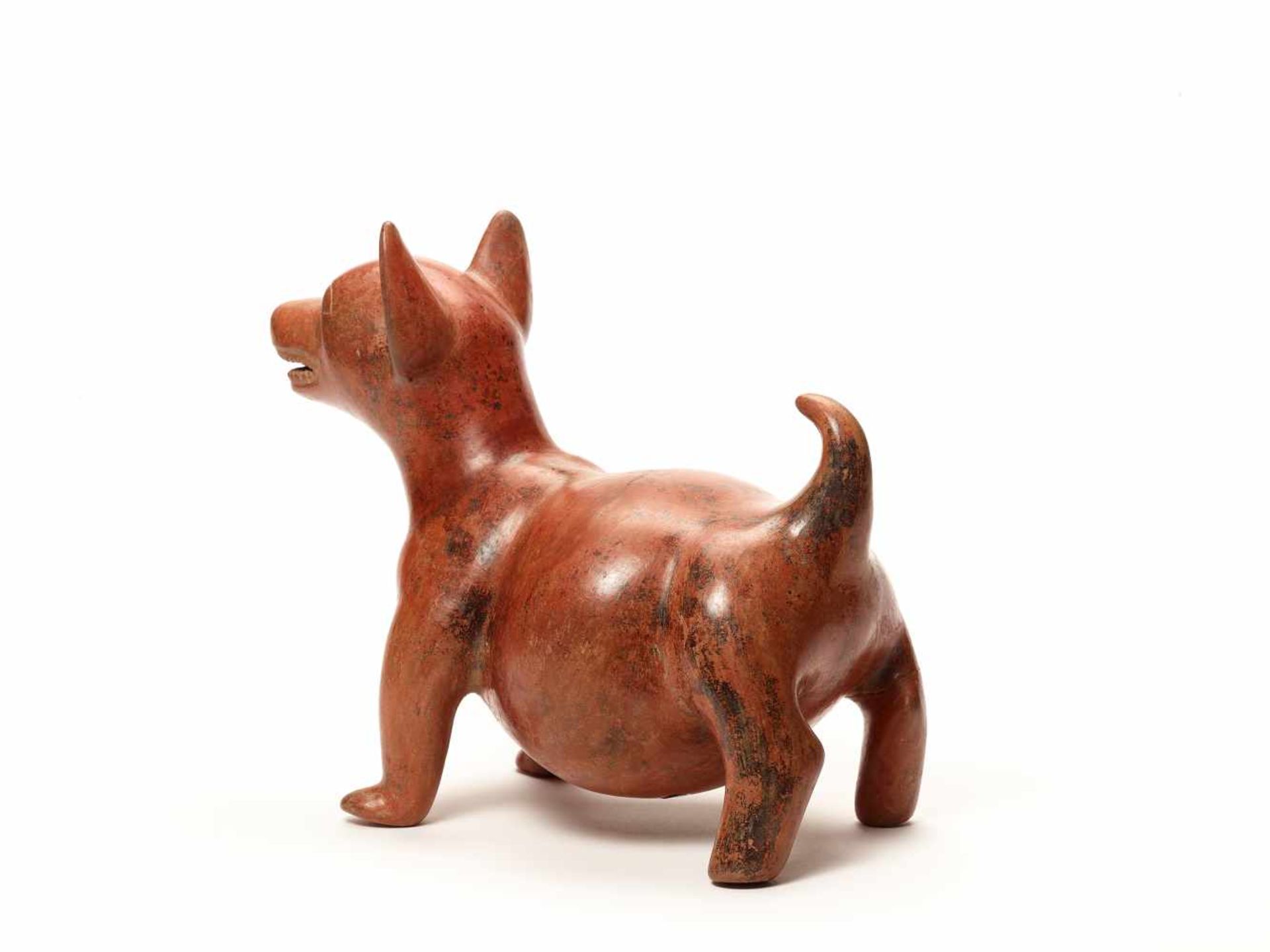 DOG FIGURE – COLIMA, MEXICO, C. 100 BC - 250 ADFired clayColima, Mexico, c. 100 BC - 250 - Bild 3 aus 4