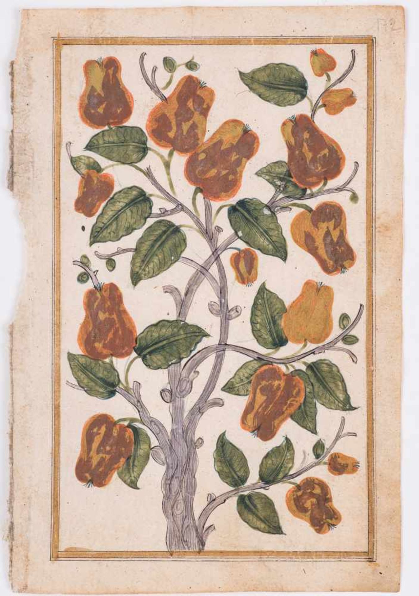 A GROUP OF ELEVEN FLOWER AND TREE MINIATURE PAINTINGS – INDIA 19th CENTURYWatercolors and gold paint - Bild 7 aus 12