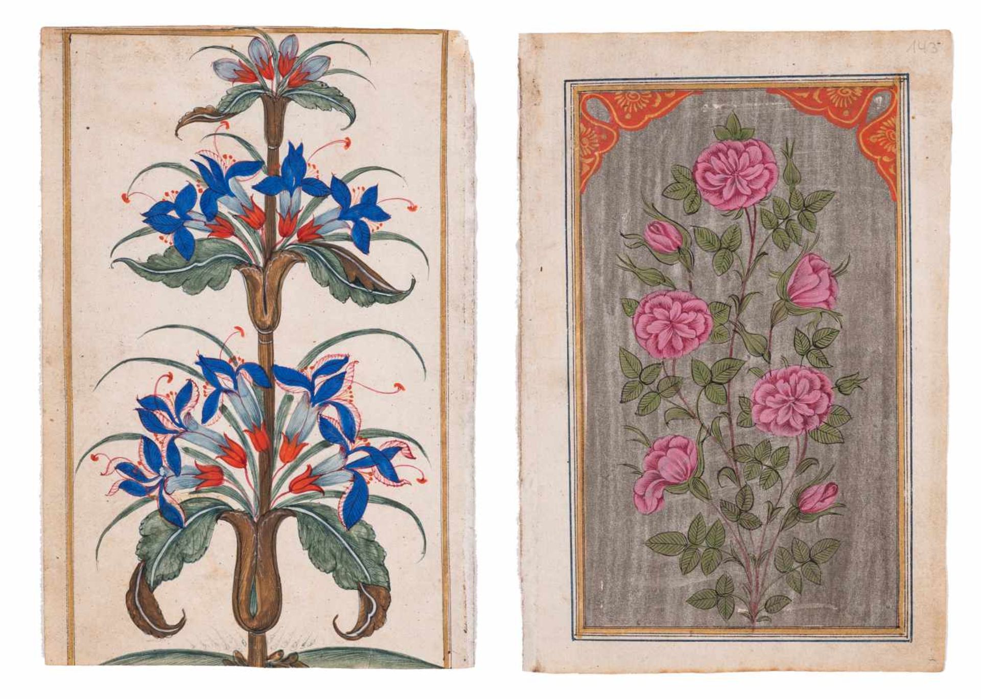 TWO INDIAN MINIATURE PAINTINGS OF BLOSSOMSMiniature painting. Colors on paperNorthern India,