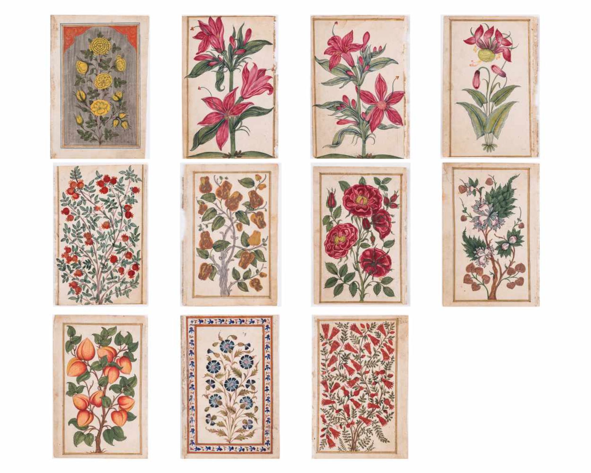 A GROUP OF ELEVEN FLOWER AND TREE MINIATURE PAINTINGS – INDIA 19th CENTURYWatercolors and gold paint