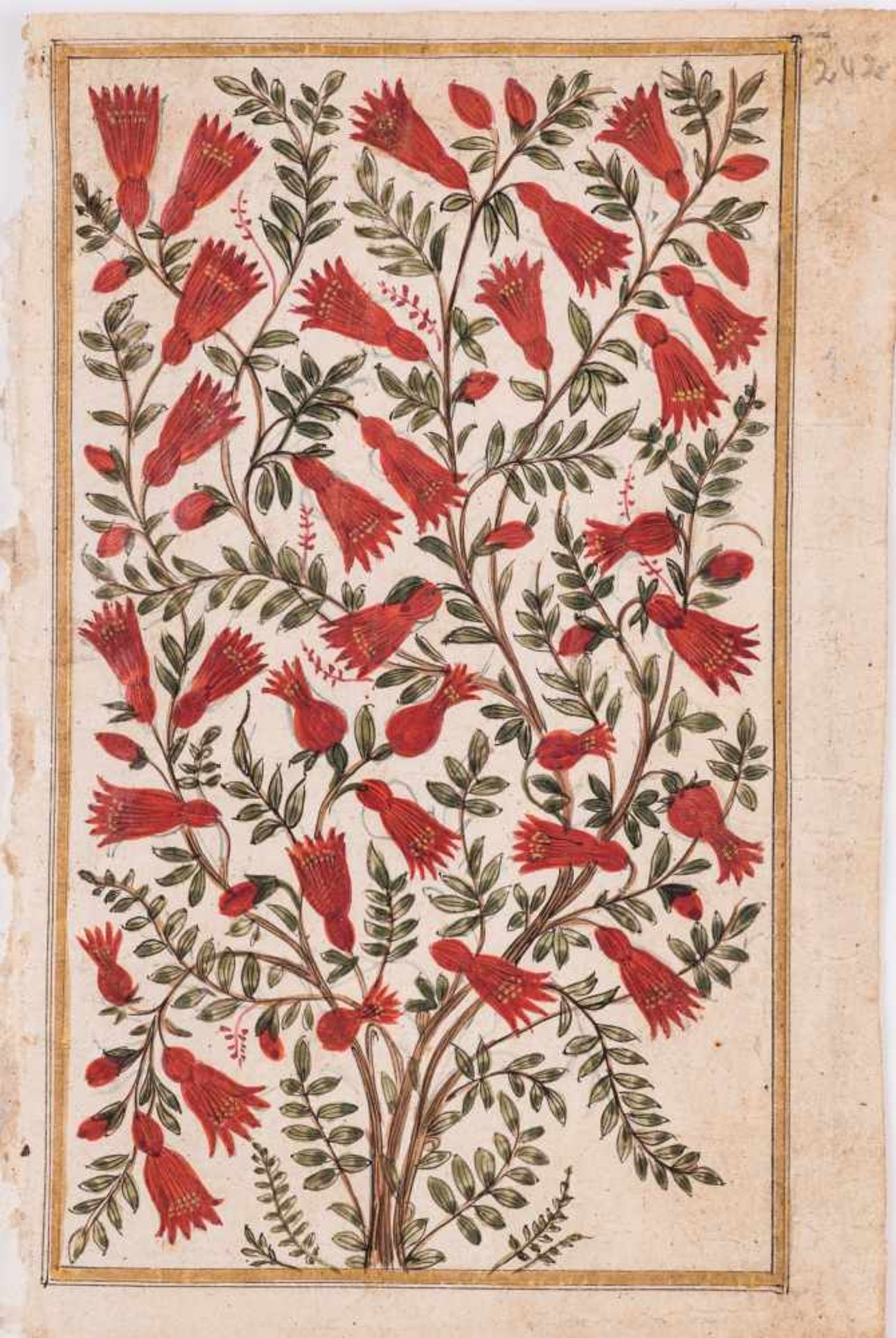 A GROUP OF ELEVEN FLOWER AND TREE MINIATURE PAINTINGS – INDIA 19th CENTURYWatercolors and gold paint - Bild 12 aus 12