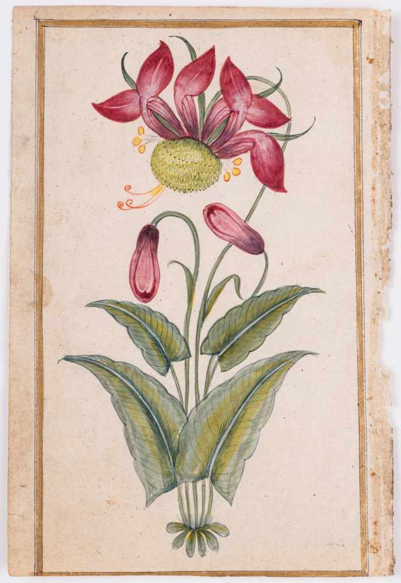 A GROUP OF ELEVEN FLOWER AND TREE MINIATURE PAINTINGS – INDIA 19th CENTURYWatercolors and gold paint - Bild 5 aus 12