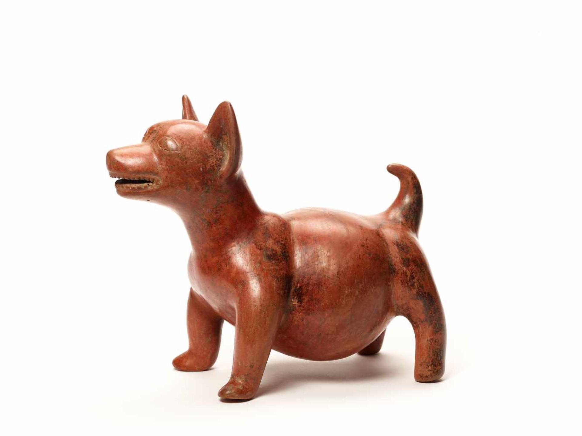 DOG FIGURE – COLIMA, MEXICO, C. 100 BC - 250 ADFired clayColima, Mexico, c. 100 BC - 250 - Bild 2 aus 4