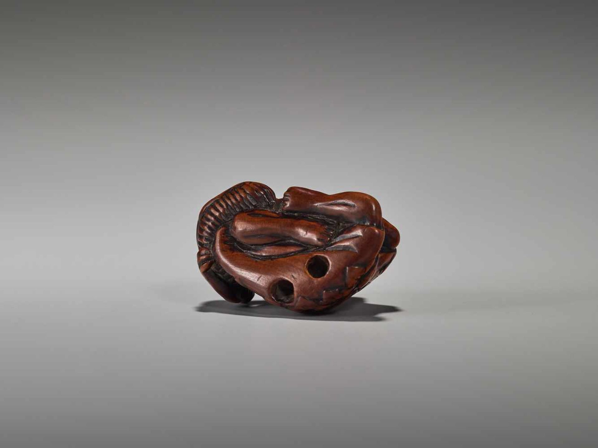 A RARE WOOD NETSUKE OF CHINNAN SENNINUnsigned, wood netsukeJapan, 19th century, Edo period (1615- - Bild 5 aus 5