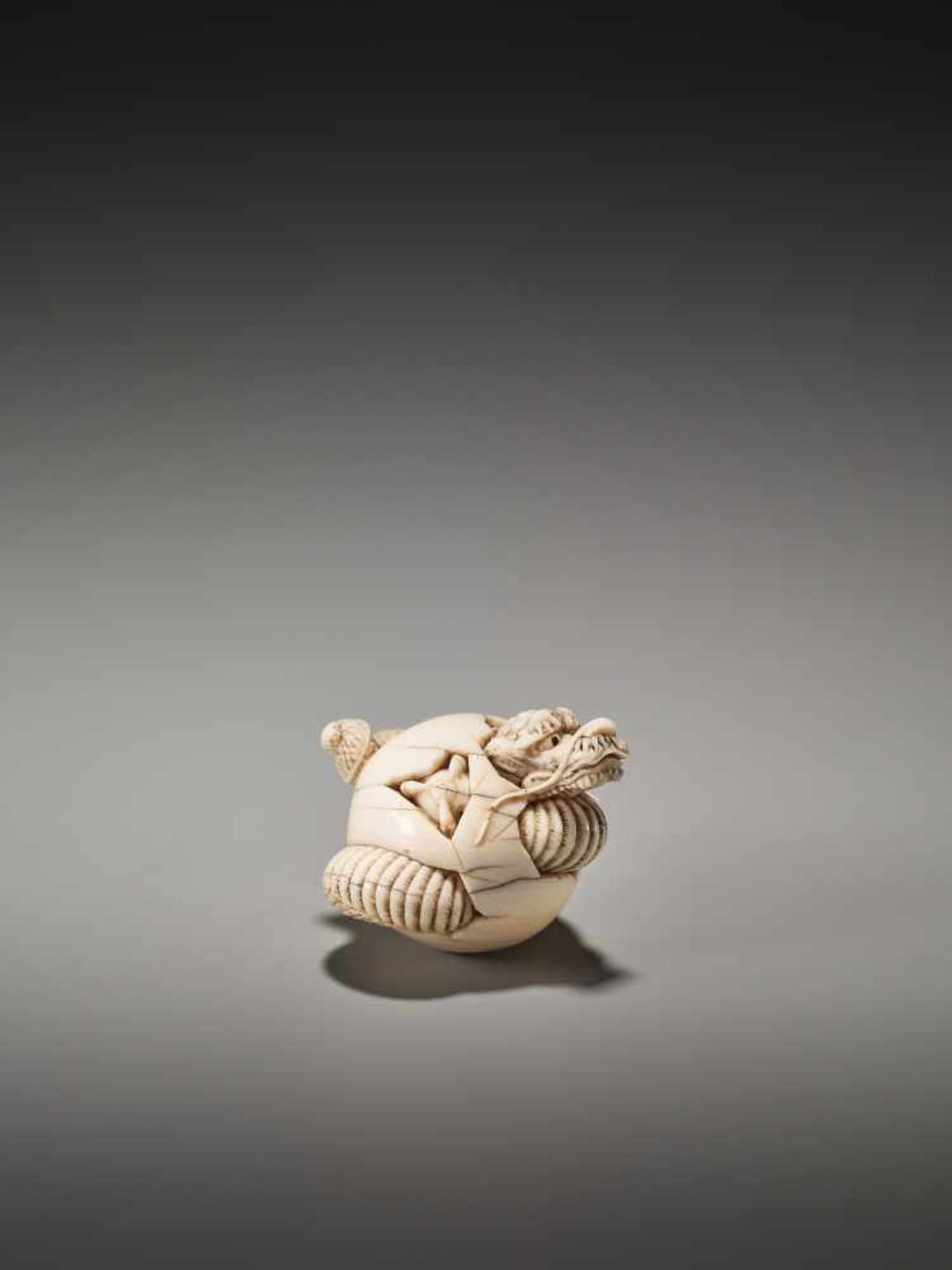 A VERY RARE IVORY NETSUKE OF A DRAGON HATCHING FROM AN EGG BY ICHISHIDO MASAKAZUBy Ichishido - Bild 6 aus 10