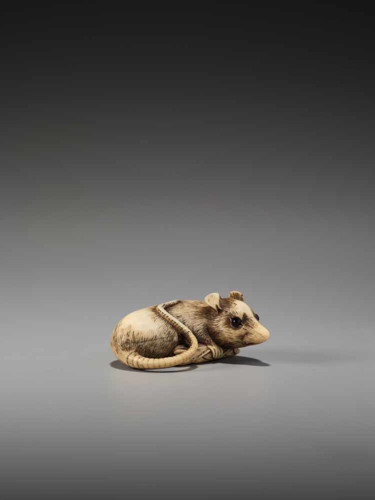 AN EXCELLENT IVORY NETSUKE OF A RAT WITH BAMBOO NODE BY SADAYOSHIBy Sadayoshi, ivory netsukeJapan, - Image 4 of 11