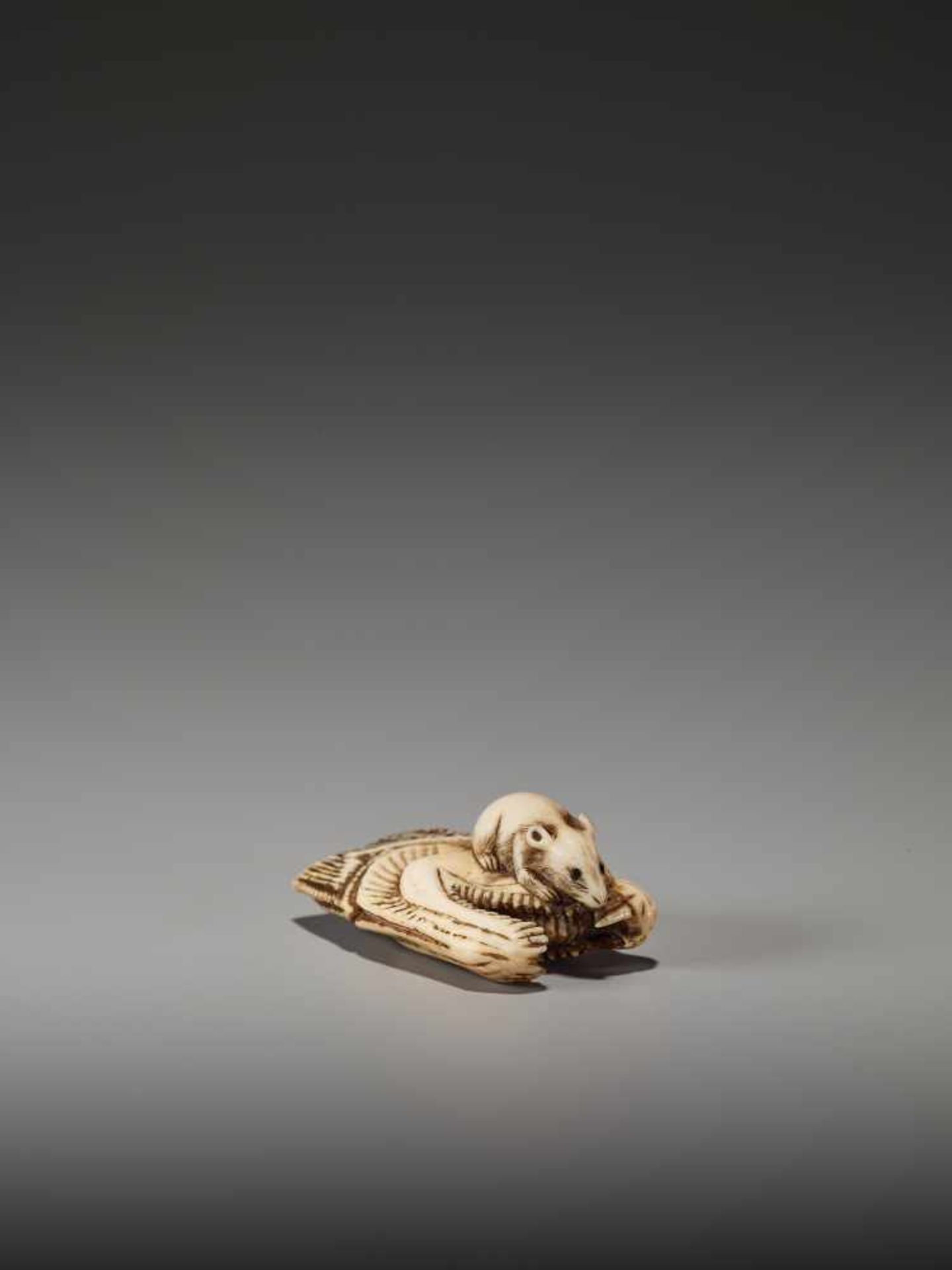 AN IVORY NETSUKE OF A RAT ON A DRIED SALMON HEADUnsigned, ivory netsukeJapan, 19th century, Edo