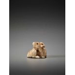 AN IVORY NETSUKE OF A RECUMBENT GOAT ATTRIBUTED TO RANMEIUnsigned, attributed to Ranmei, ivory