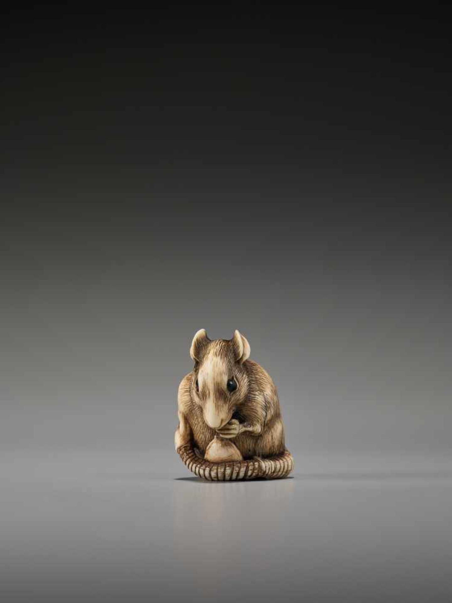 A POWERFUL KYOTO SCHOOL IVORY NETSUKE OF A RAT WITH A BEAN PODUnsigned, ivory netsukeJapan, Kyoto, - Bild 4 aus 12