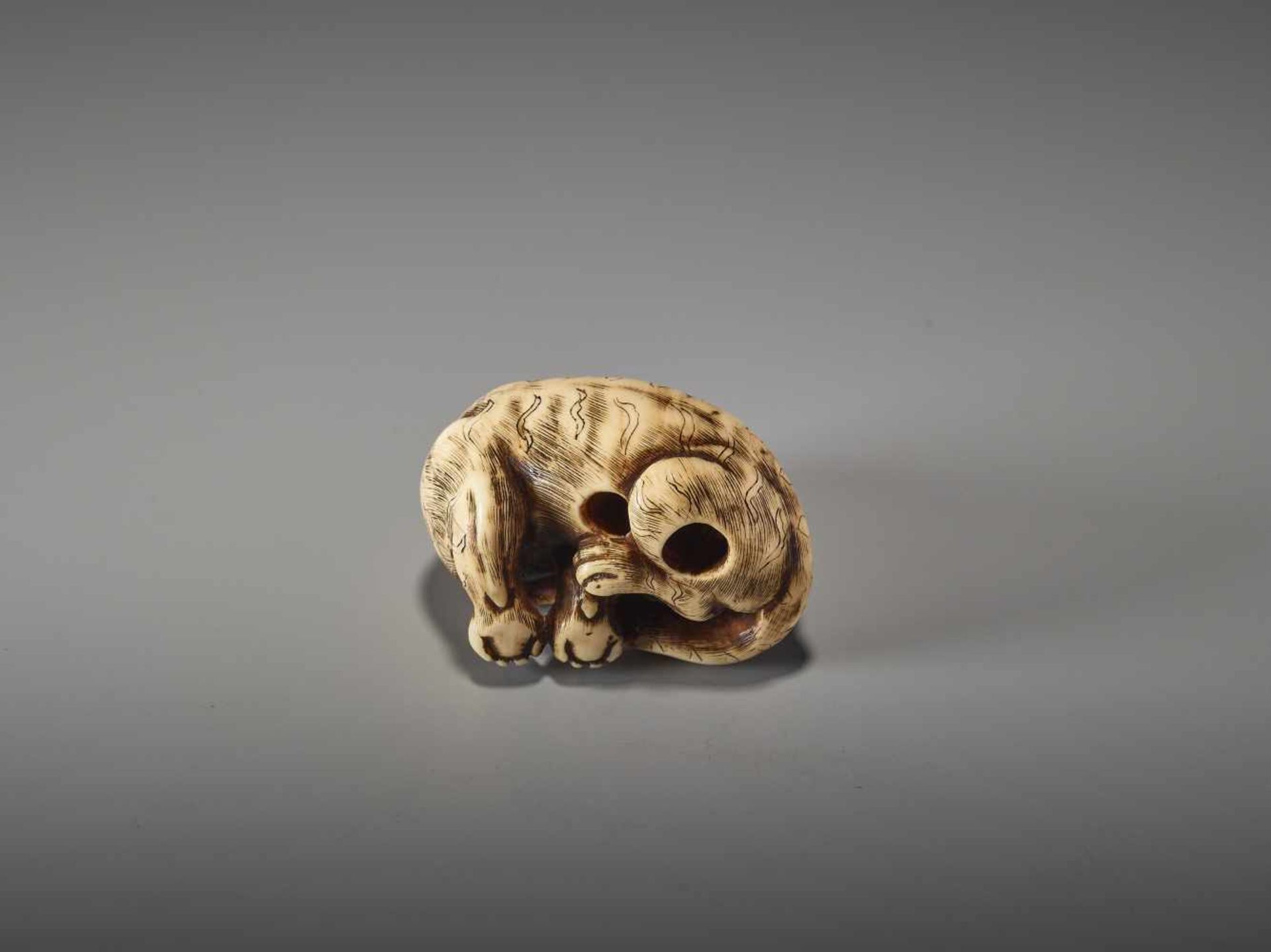 A GOOD KYOTO SCHOOL IVORY NETSUKE OF A TIGERUnsigned, ivory netsukeJapan, Kyoto, early 19th century, - Image 3 of 7