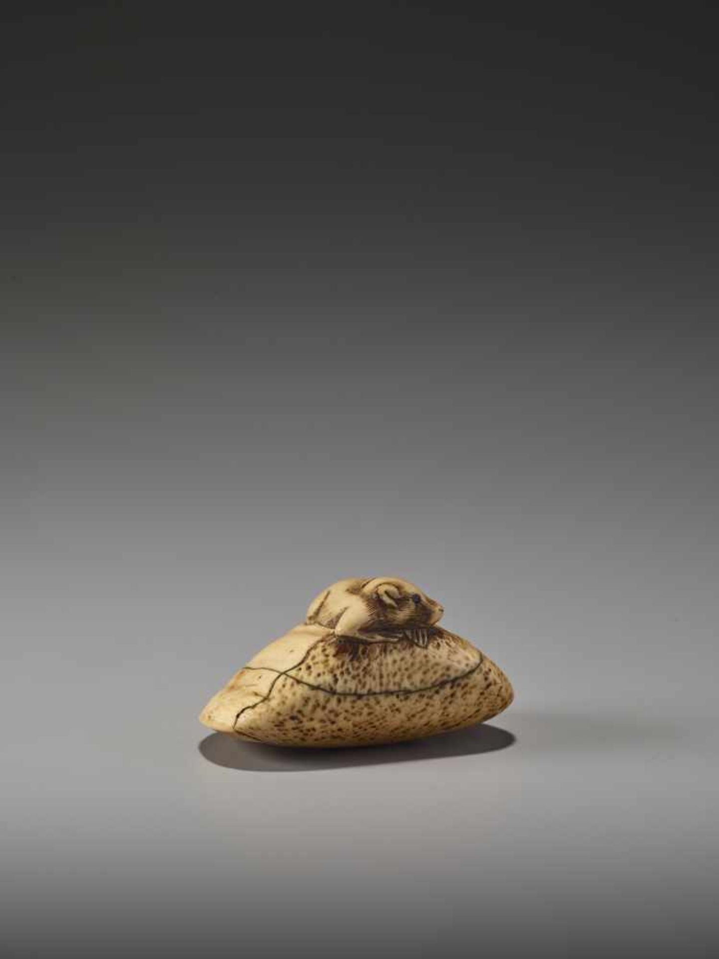 AN IVORY NETSUKE OF A RAT ON A LARGE CHESTNUTUnsigned, ivory netsukeJapan, probably Kyoto, early - Image 5 of 6